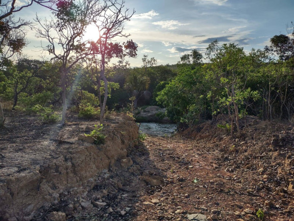 Imagem Fazenda à Venda, 1.046 m² em Arinos - Arinos
