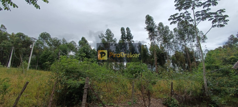 Imagem Imóvel com 7 Quartos à Venda, 38.588 m² em Santa Luzia - Charqueada Imagem Imóvel com 7 Quartos à Venda, 38.588 m² em Santa Luzia - Charqueada