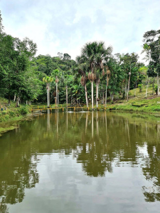 Imagem Imóvel Comercial à Venda, 400.000 m² em Manaus Imagem Imóvel Comercial à Venda, 400.000 m² em Manaus