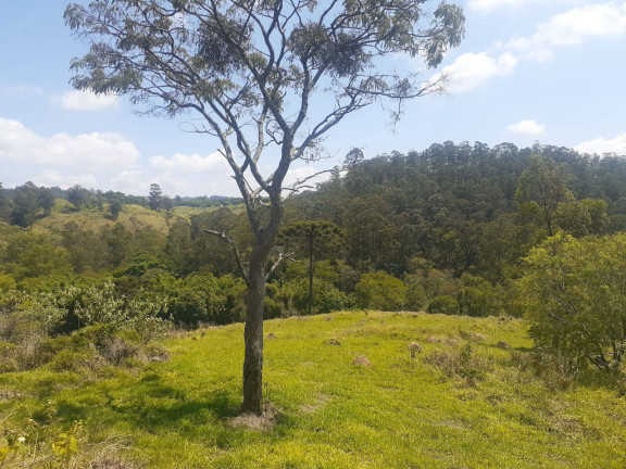Imagem Terreno à Venda, 5 m² em Arataba Ii - Louveira