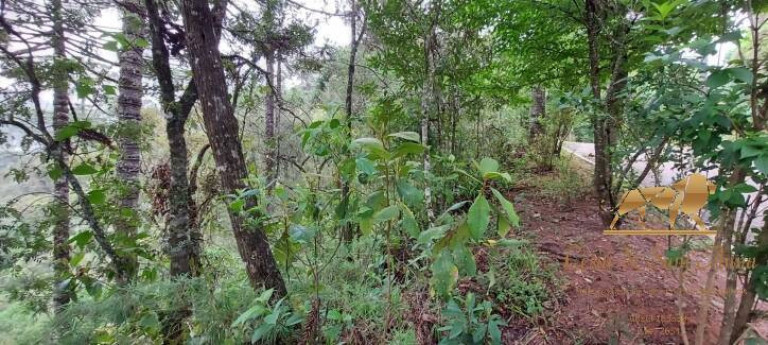 Imagem Terreno à Venda, 5.170 m² em Descansópolis - Campos Do Jordão Imagem Terreno à Venda, 5.170 m² em Descansópolis - Campos Do Jordão