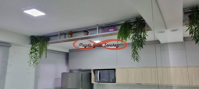 Imagem Apartamento com 2 Quartos à Venda, 36 m² em Vila Ré - São Paulo