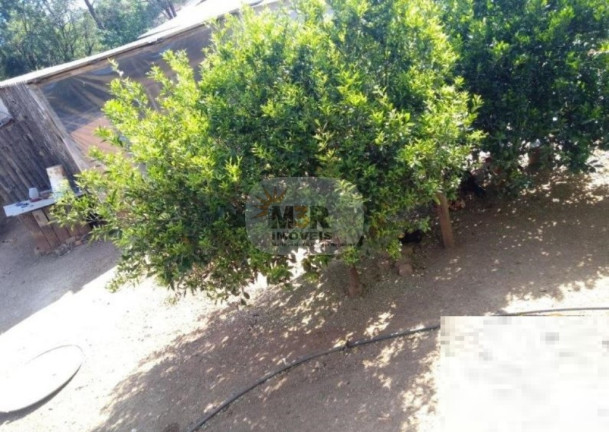 Imagem Casa com 3 Quartos à Venda, 120 m² em Vale Verde - Nova Petrópolis Imagem Casa com 3 Quartos à Venda, 120 m² em Vale Verde - Nova Petrópolis