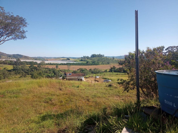 Imagem Chácara com 4 Quartos à Venda, 443 m² em Pitangueiras - Caldas Imagem Chácara com 4 Quartos à Venda, 443 m² em Pitangueiras - Caldas