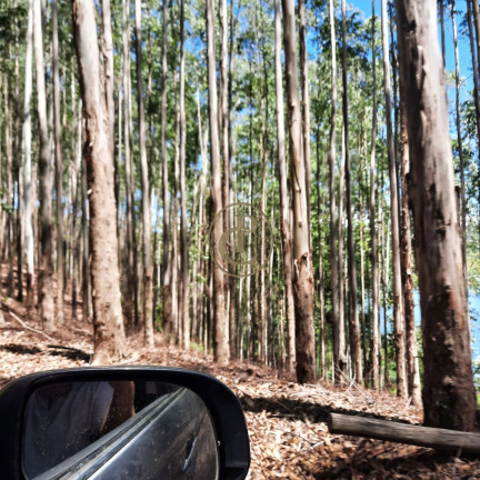 Imagem Fazenda à Venda, 100 m² em Lagoa - Paraibuna