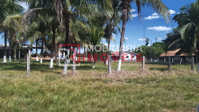 Imagem Chácara à Venda, 1.000 m² em Zona Rural - Alta Floresta Imagem Chácara à Venda, 1.000 m² em Zona Rural - Alta Floresta