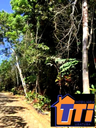 Imagem Terreno à Venda, 1.010 m² em Toninhas - Ubatuba Imagem Terreno à Venda, 1.010 m² em Toninhas - Ubatuba