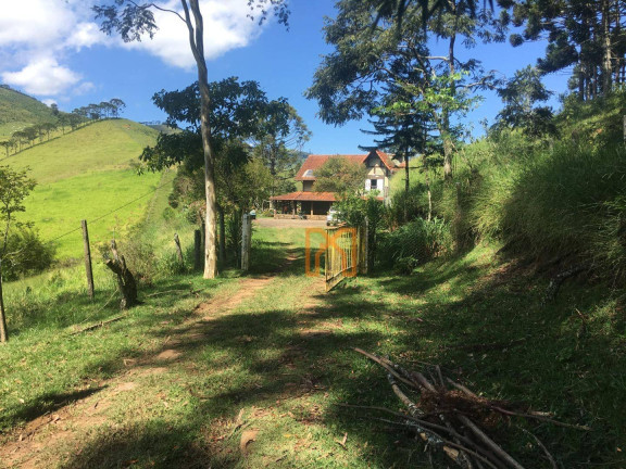 Imagem Fazenda à Venda, 3.030.000 m² em Biguá - Delfim Moreira