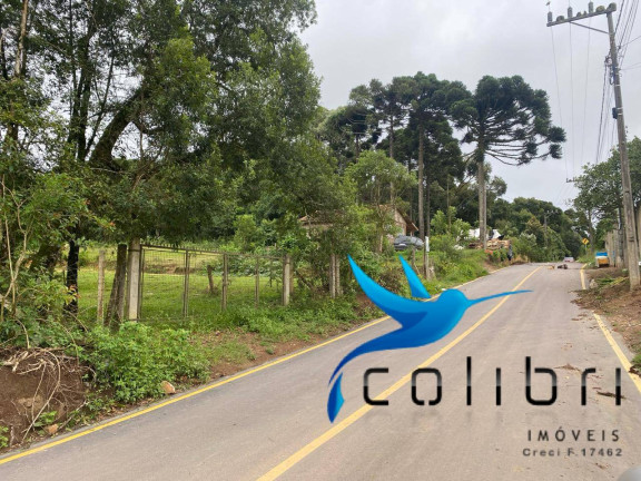 Imagem Terreno à Venda, 3.785 m² em Pinheiro Ocado - Agudos Do Sul Imagem Terreno à Venda, 3.785 m² em Pinheiro Ocado - Agudos Do Sul