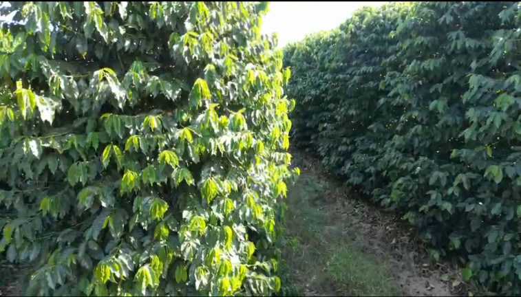 Imagem Fazenda à Venda, 145 m² em Alpinópolis Imagem Fazenda à Venda, 145 m² em Alpinópolis