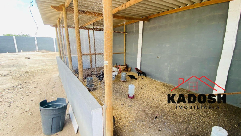 Imagem Imóvel com 4 Quartos à Venda, 200 m² em Ponto Central - Matinha Imagem Imóvel com 4 Quartos à Venda, 200 m² em Ponto Central - Matinha