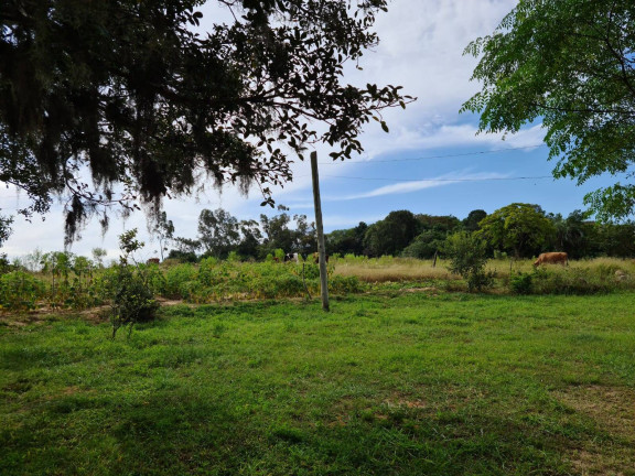 Imagem Chácara com 1 Quarto à Venda, 108.000 m² em Itapuã - Viamão Imagem Chácara com 1 Quarto à Venda, 108.000 m² em Itapuã - Viamão