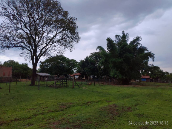 Imagem Chácara com 3 Quartos à Venda, 6.000 m² em Mogi Mirim Imagem Chácara com 3 Quartos à Venda, 6.000 m² em Mogi Mirim