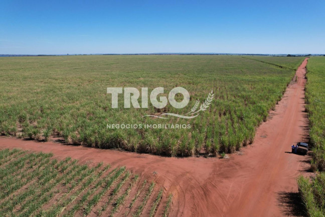 Imagem Fazenda à Venda, 72 m² em Zona Rural - Quirinópolis Imagem Fazenda à Venda, 72 m² em Zona Rural - Quirinópolis