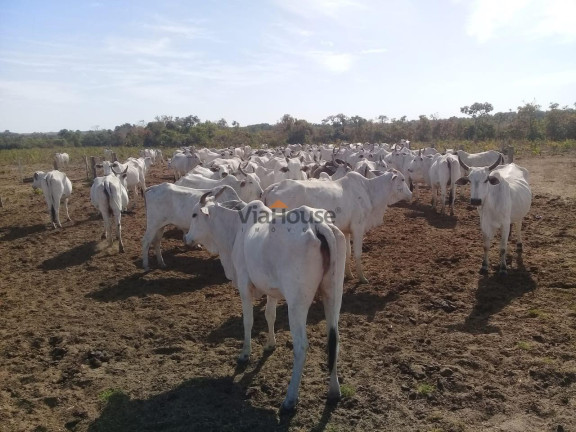 Fazenda à Venda, 21.119.824 m² em Zn Rural - Bonópolis