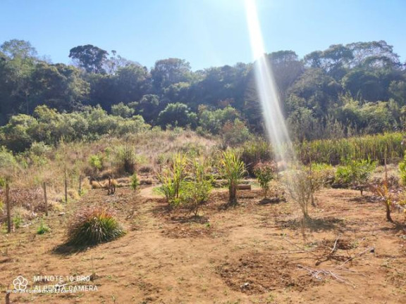 Imagem Chácara à Venda, em Bairro Do Paruru - Ibiúna Imagem Chácara à Venda, em Bairro Do Paruru - Ibiúna