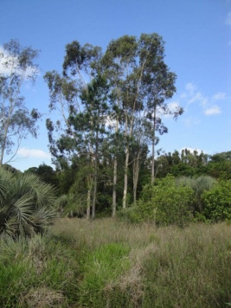 Imagem Chácara à Venda, 4 m² em águas Claras - Viamão