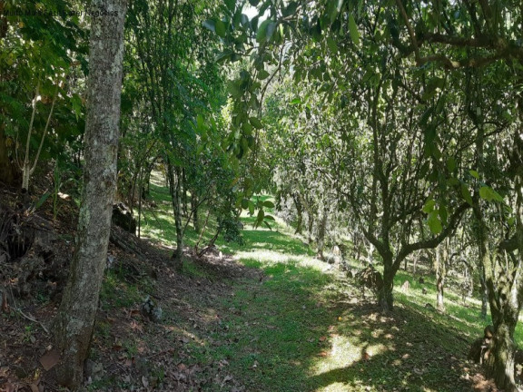 Imagem Imóvel com 2 Quartos à Venda, 11 m² em Linha Pirajá Baixa - Nova Petrópolis Imagem Imóvel com 2 Quartos à Venda, 11 m² em Linha Pirajá Baixa - Nova Petrópolis
