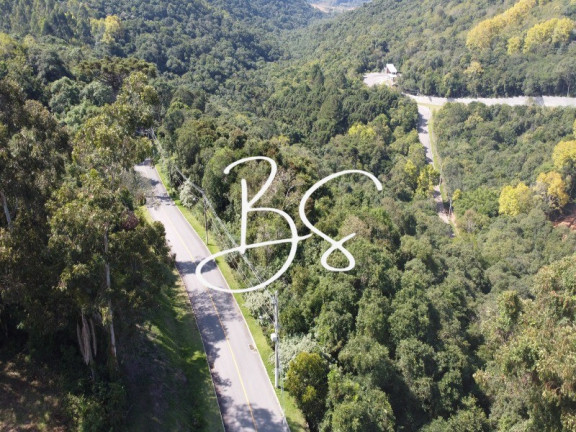 Imagem Terreno à Venda, 3.900 m² em Santo Antão - Bento Gonçalves Imagem Terreno à Venda, 3.900 m² em Santo Antão - Bento Gonçalves