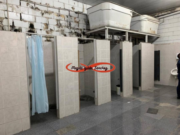 Imagem Galpão à Venda, 1.000 m² em Vila Carmosina - São Paulo