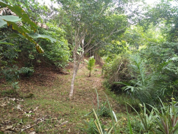 Imagem Imóvel à Venda, em Rural - Uruçuca Imagem Imóvel à Venda, em Rural - Uruçuca