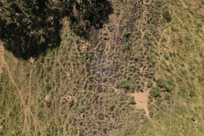 Imagem Fazenda à Venda, 82.000 m² em Centro - Acorizal Imagem Fazenda à Venda, 82.000 m² em Centro - Acorizal