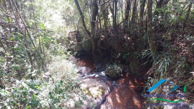 Imagem Terreno à Venda, 113.740 m² em Centro - Gonçalves