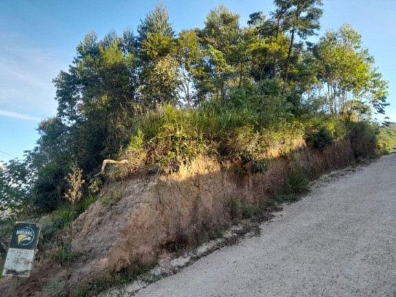 Imagem Terreno à Venda, 20.000 m² em Terra Preta (terra Preta) - Mairiporã Imagem Terreno à Venda, 20.000 m² em Terra Preta (terra Preta) - Mairiporã