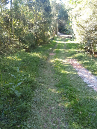 Imagem Terreno à Venda, 1.300 m² em Descansopolis - Campos Do Jordão
