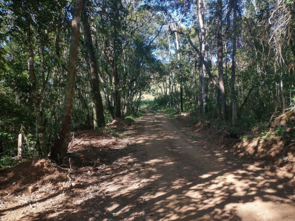Imagem Chácara à Venda, 1.000 m² em Pocinhos Do Rio Verde - Caldas Imagem Chácara à Venda, 1.000 m² em Pocinhos Do Rio Verde - Caldas