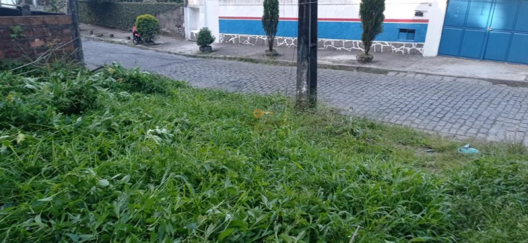 Imagem Terreno à Venda, 246 m² em Granja Guarani - Teresópolis Imagem Terreno à Venda, 246 m² em Granja Guarani - Teresópolis