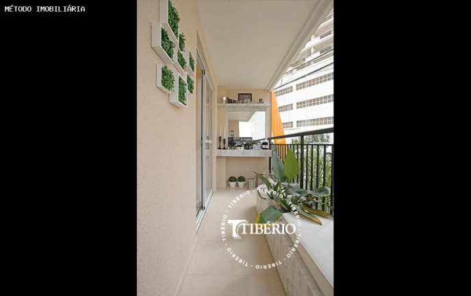 Imagem Apartamento com 3 Quartos à Venda, 76 m² em Vila Guarani - São Paulo Imagem Apartamento com 3 Quartos à Venda, 76 m² em Vila Guarani - São Paulo