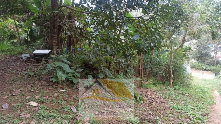 Imagem Terreno à Venda, 7.800 m² em Varginha - Nova Friburgo Imagem Terreno à Venda, 7.800 m² em Varginha - Nova Friburgo