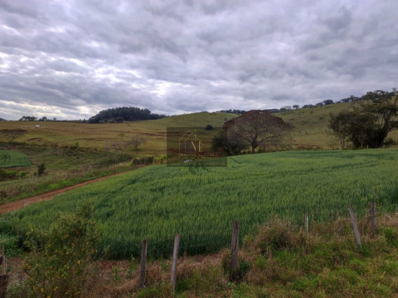 Imagem Terreno à Venda, 2.600 m² em Tomazina - Tomazina