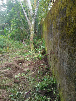 Terreno à Venda, 500 m² em Itamambuca - Ubatuba