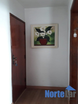 Imagem Apartamento com 2 Quartos à Venda, 62 m² em Vila Nova Cachoeirinha - São Paulo Imagem Apartamento com 2 Quartos à Venda, 62 m² em Vila Nova Cachoeirinha - São Paulo
