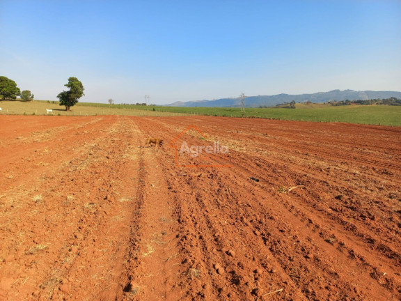 Imagem Imóvel com 1 Quarto à Venda, em Rural - Jacutinga Imagem Imóvel com 1 Quarto à Venda, em Rural - Jacutinga