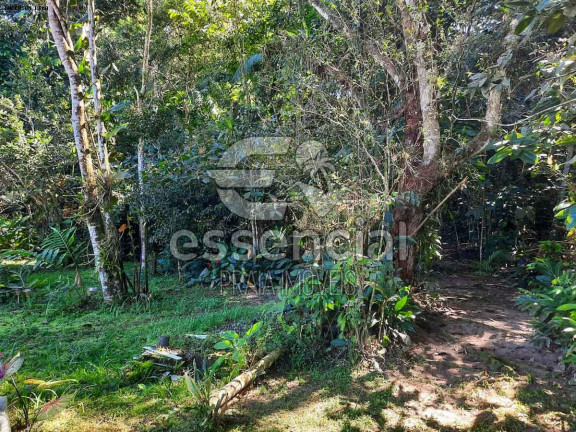 Imagem Casa com 2 Quartos à Venda, 100 m² em Praia Do Prumirim - Ubatuba