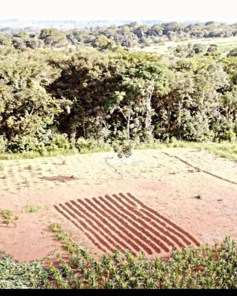 Imagem Chácara à Venda, 29.000 m² em área Rural De Luziânia - Luziânia Imagem Chácara à Venda, 29.000 m² em área Rural De Luziânia - Luziânia
