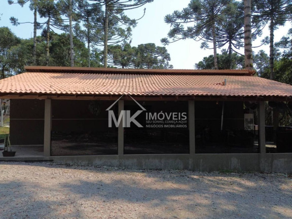 Imagem Chácara com 3 Quartos à Venda, 190 m² em Marmeleiro - Piraquara Imagem Chácara com 3 Quartos à Venda, 190 m² em Marmeleiro - Piraquara