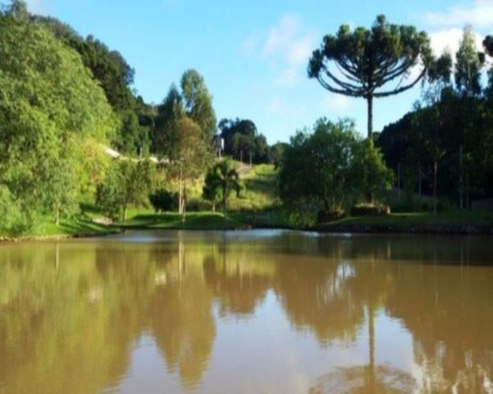 Imagem Imóvel à Venda, 762 m² em Linha Imperial - Nova Petrópolis Imagem Imóvel à Venda, 762 m² em Linha Imperial - Nova Petrópolis