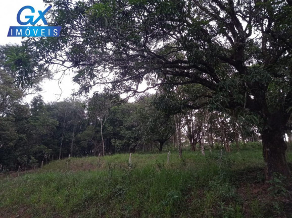 Imagem Terreno à Venda, 9.653 m² em Areias De Baixo - Ribeirão Das Neves Imagem Terreno à Venda, 9.653 m² em Areias De Baixo - Ribeirão Das Neves