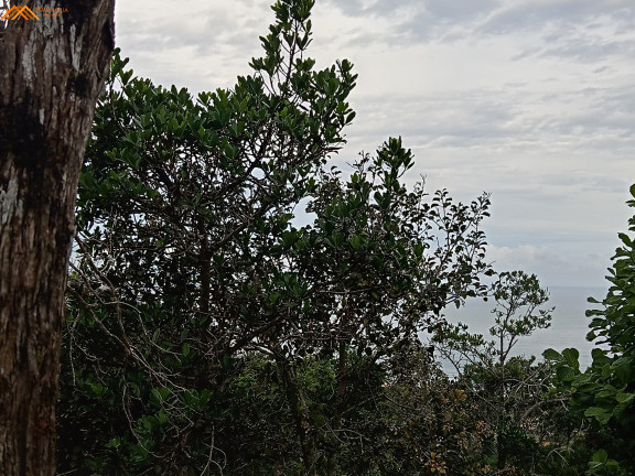 Imagem Terreno à Venda, 3.484 m² em Silveira - Garopaba