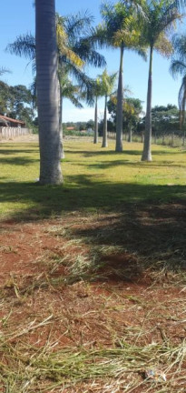 Imóvel à Venda, 2.300 m² em Gleba Fazenda Palhano - Londrina