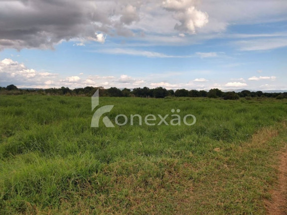 Imagem Chácara com 1 Quarto à Venda, 300 m² em Bairro Marambaia - Caçapava Imagem Chácara com 1 Quarto à Venda, 300 m² em Bairro Marambaia - Caçapava