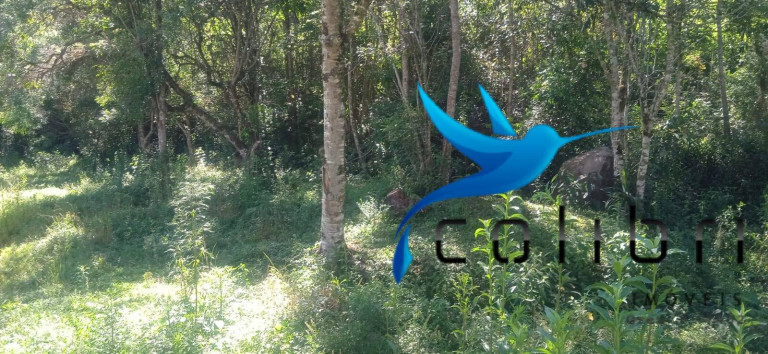 Imagem Chácara com 3 Quartos à Venda, 10.300 m² em Agua Clara - Quitandinha Imagem Chácara com 3 Quartos à Venda, 10.300 m² em Agua Clara - Quitandinha