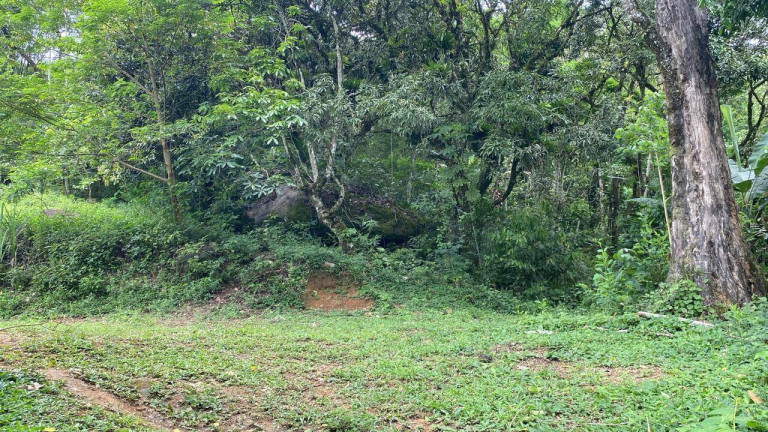 Imagem Chácara com 1 Quarto à Venda, 60 m² em Igrejinha - Itariri Imagem Chácara com 1 Quarto à Venda, 60 m² em Igrejinha - Itariri