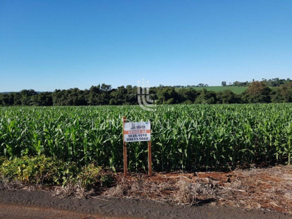 Imagem Fazenda à Venda, 10.649 m² em Cognópolis - Foz Do Iguacu Imagem Fazenda à Venda, 10.649 m² em Cognópolis - Foz Do Iguacu