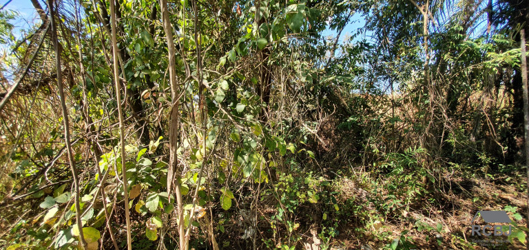 Imagem Terreno à Venda, 980 m² em Fernão Dias - Esmeraldas Imagem Terreno à Venda, 980 m² em Fernão Dias - Esmeraldas