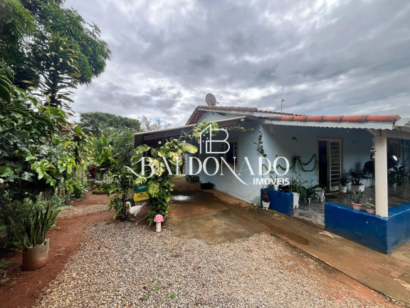 Imagem Fazenda à Venda, 1.600 m² em Munhoz - Munhoz Imagem Fazenda à Venda, 1.600 m² em Munhoz - Munhoz